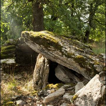 6 Dolmens de Saint-Chels